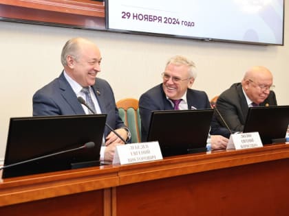 Встреча депутатов Нижегородской области: обсуждение ключевых вопросов