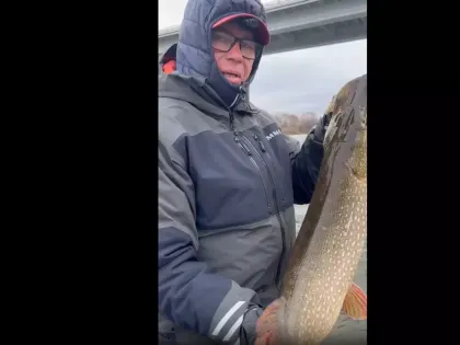 Депутат Шахунц поймал огромную щуку