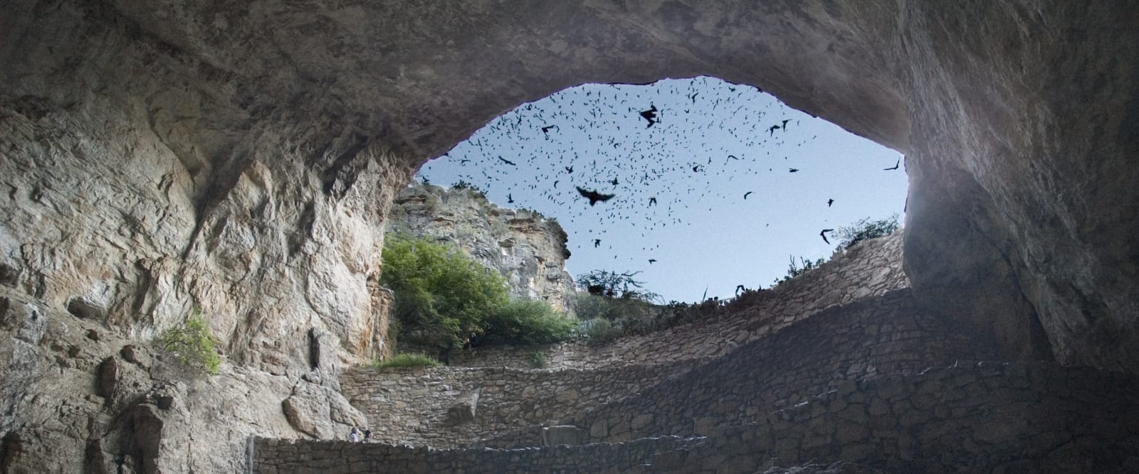 The Bat Flight, Carlsbad Caverns National Park, New Mexico
