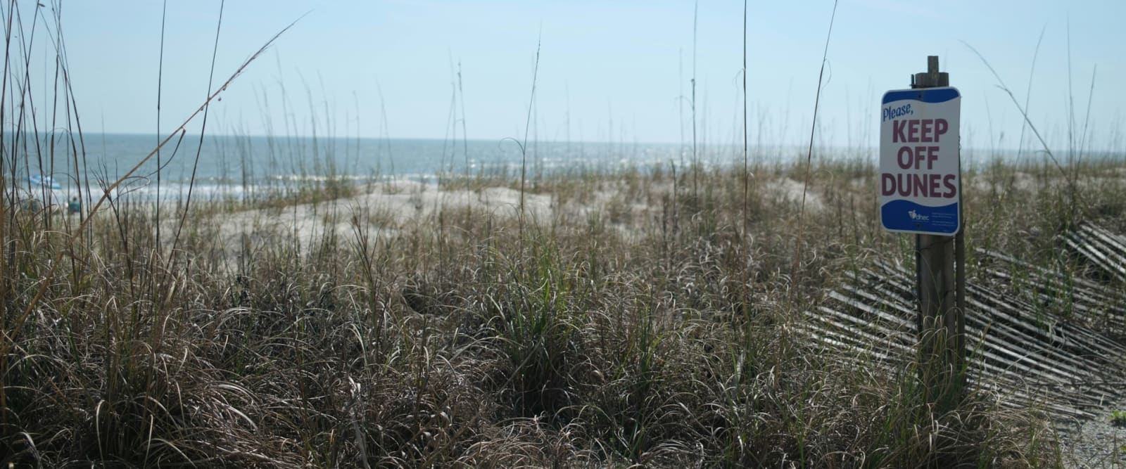 Free Experiences, Cumberland Island National Seashore, Georgia