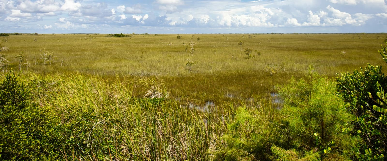 Budget, Everglades National Park, Florida