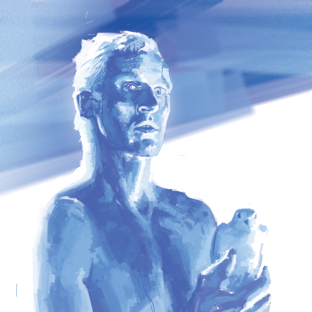 Portraits