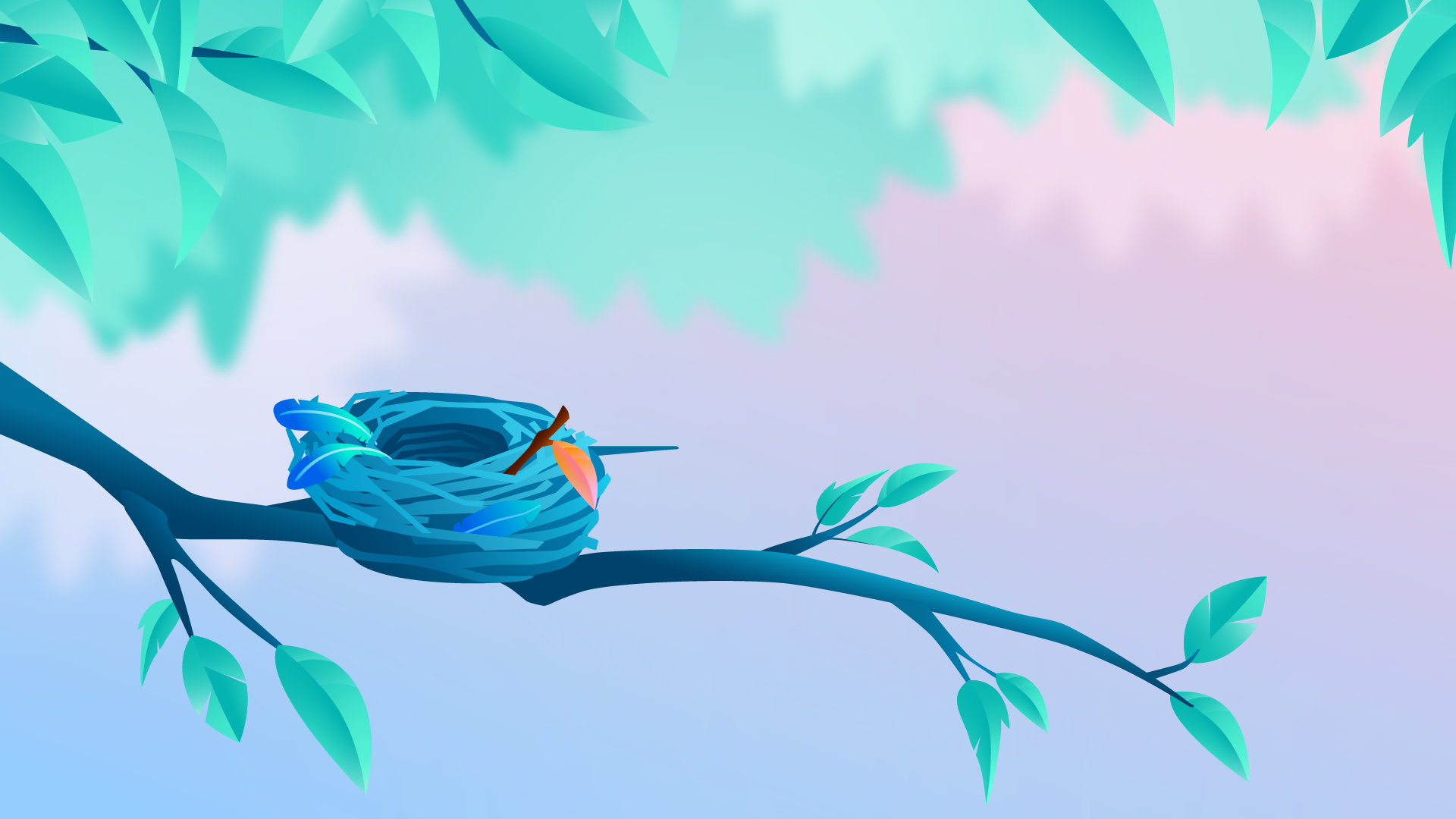Bird's nest