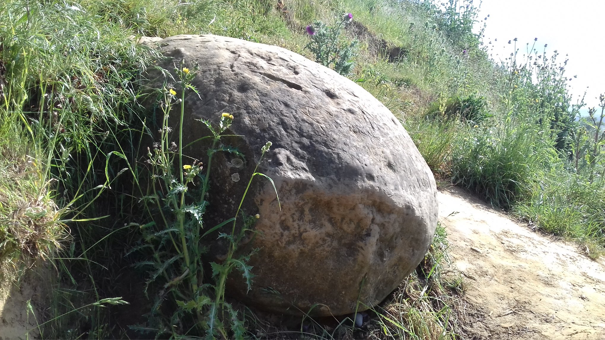 Le Dragon Egg à Avalon