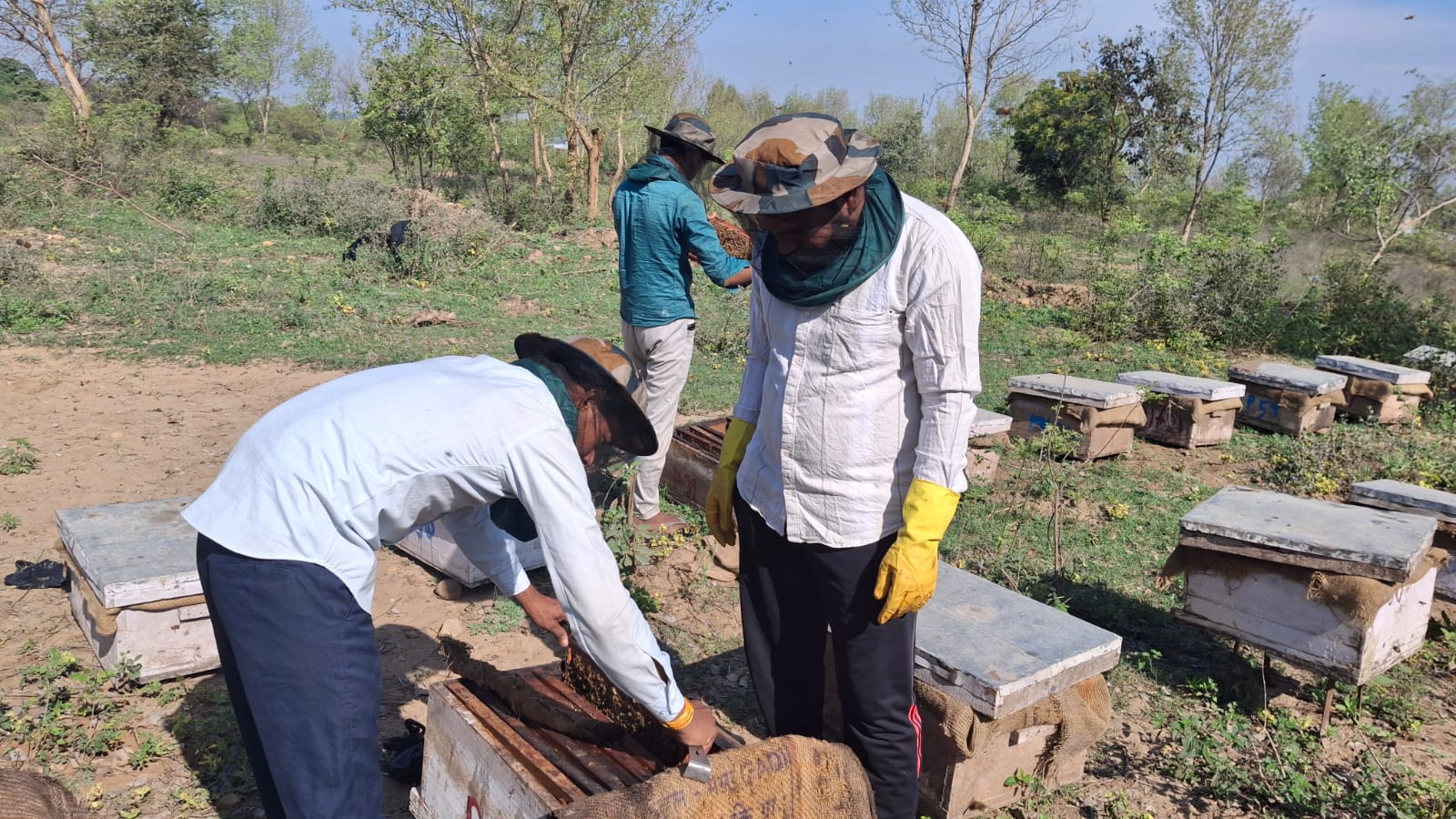 Honeyvan Beekeeper Partner Tending Hives
