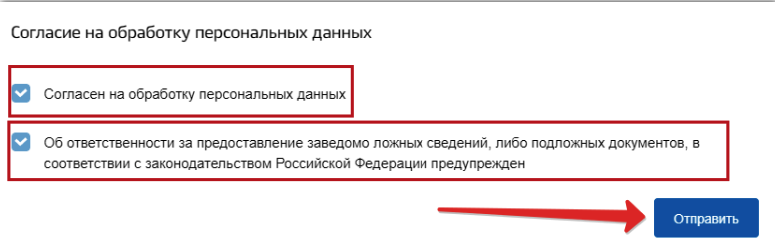 Госуслуги получение загранпаспорта. Что значит осуществляется персонализация заграничного. Схема модель персонализации. Заграничный паспорт нового поколения. Что значит осуществляется персонализация заграничного.