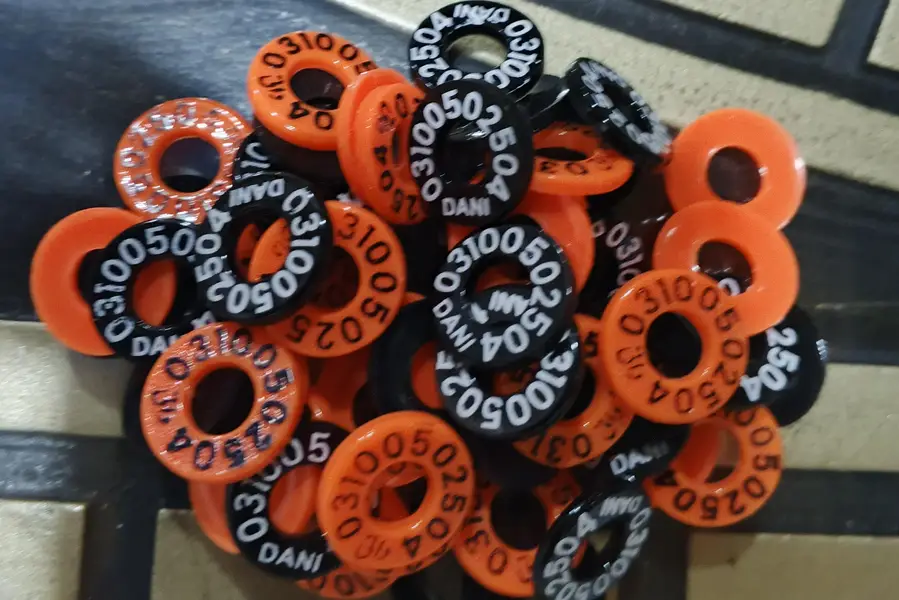 Customized Pigeon Rings 100 Pcs Printed with Name and Phone Number.