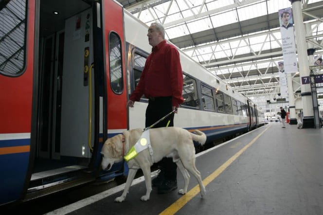 A man boarding a train with a service dog