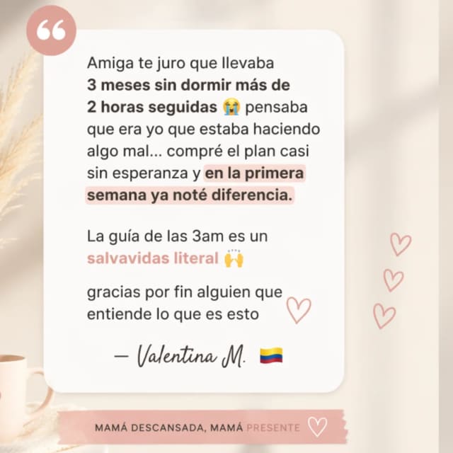 Testimonio Camila V.
