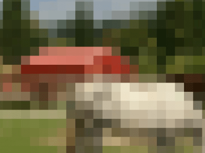 cloudinary options pixelate