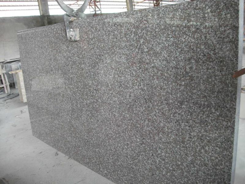 Misty Brown, výška 110 cm