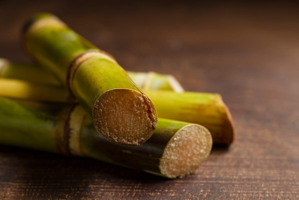 Sugarcane Farming