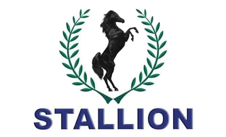 Partner 4 Logo