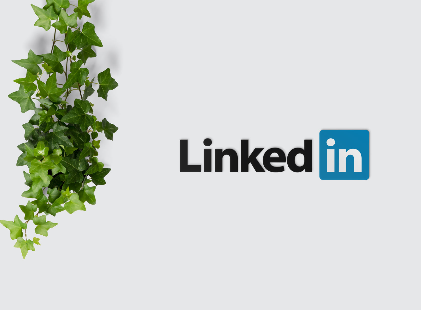 LinkedIn Carla Martín del Olmo