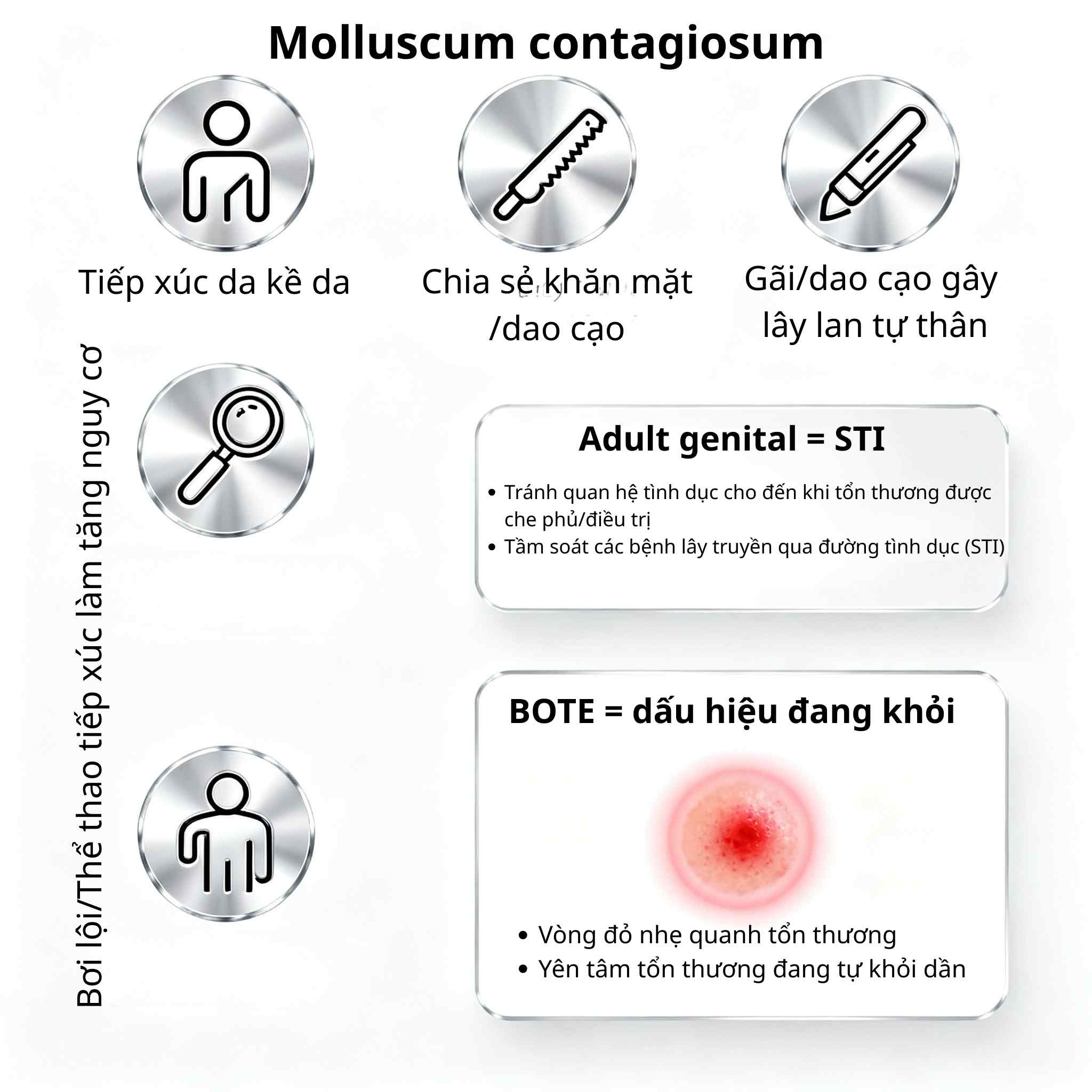Infographic đường lây u mềm lây (da–da, đồ dùng chung, tự lây), khuyến nghị STI ở người lớn, và khung nhỏ giải thích BOTE – đỏ/viêm nhẹ báo hiệu đang khỏi.
