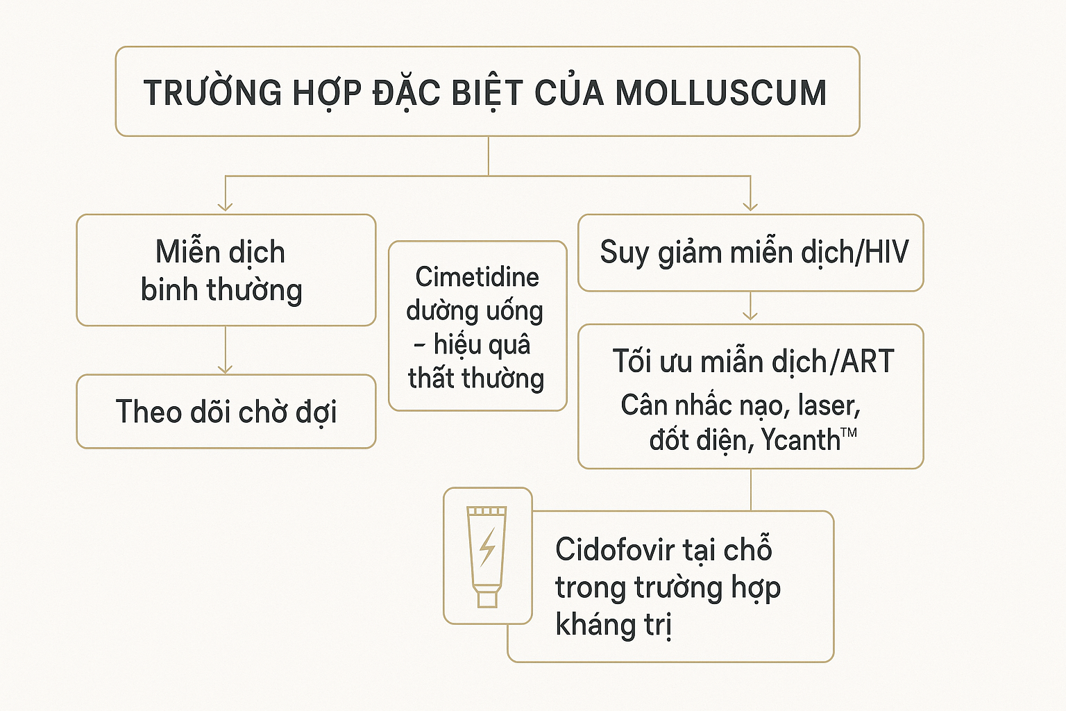 Sơ đồ xử trí u mềm lây ở ca đặc biệt: suy giảm miễn dịch/HIV cần tối ưu miễn dịch và can thiệp; cimetidine đường uống hiệu quả thất thường; cân nhắc cidofovir tại chỗ khi tái phát.