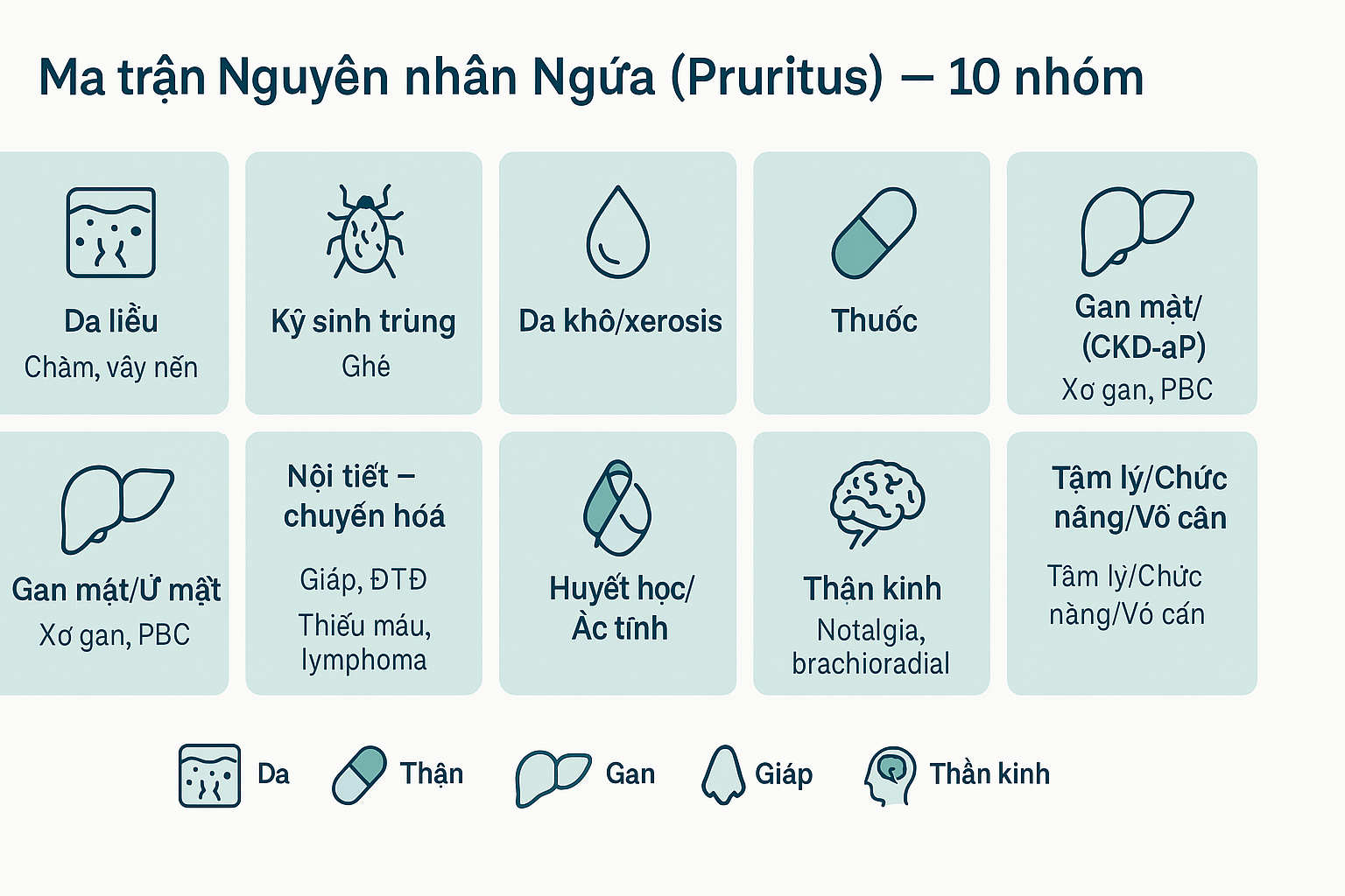 Ma trận 10 nguyên nhân ngứa theo hệ cơ quan.