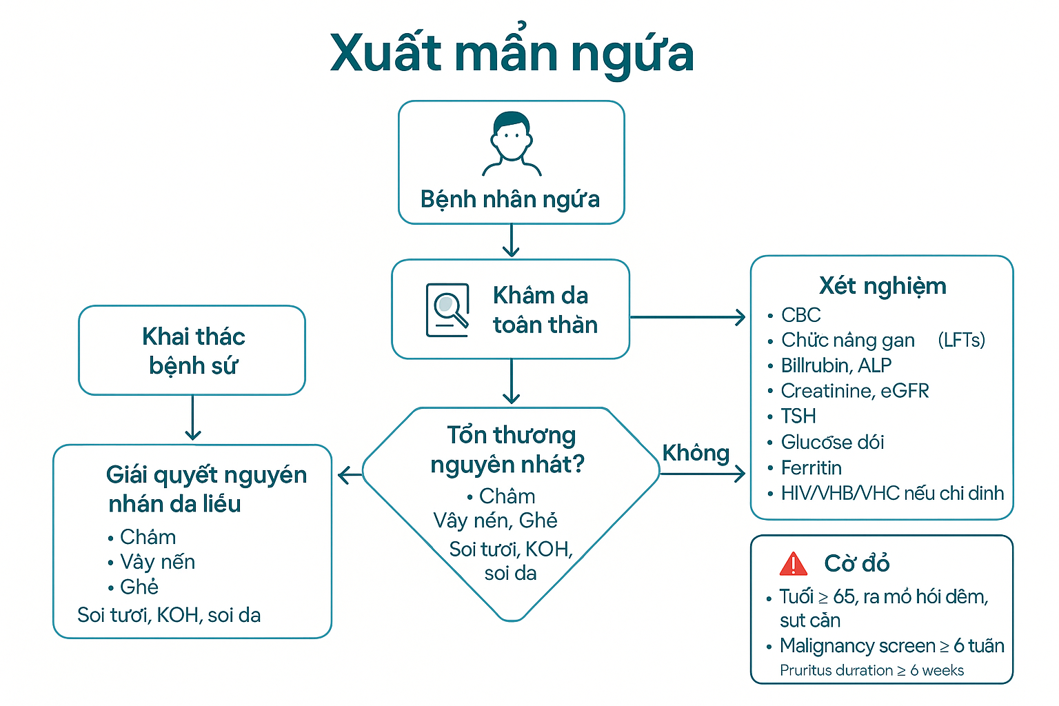 Lưu đồ hỏi bệnh, khám và xét nghiệm ngứa.