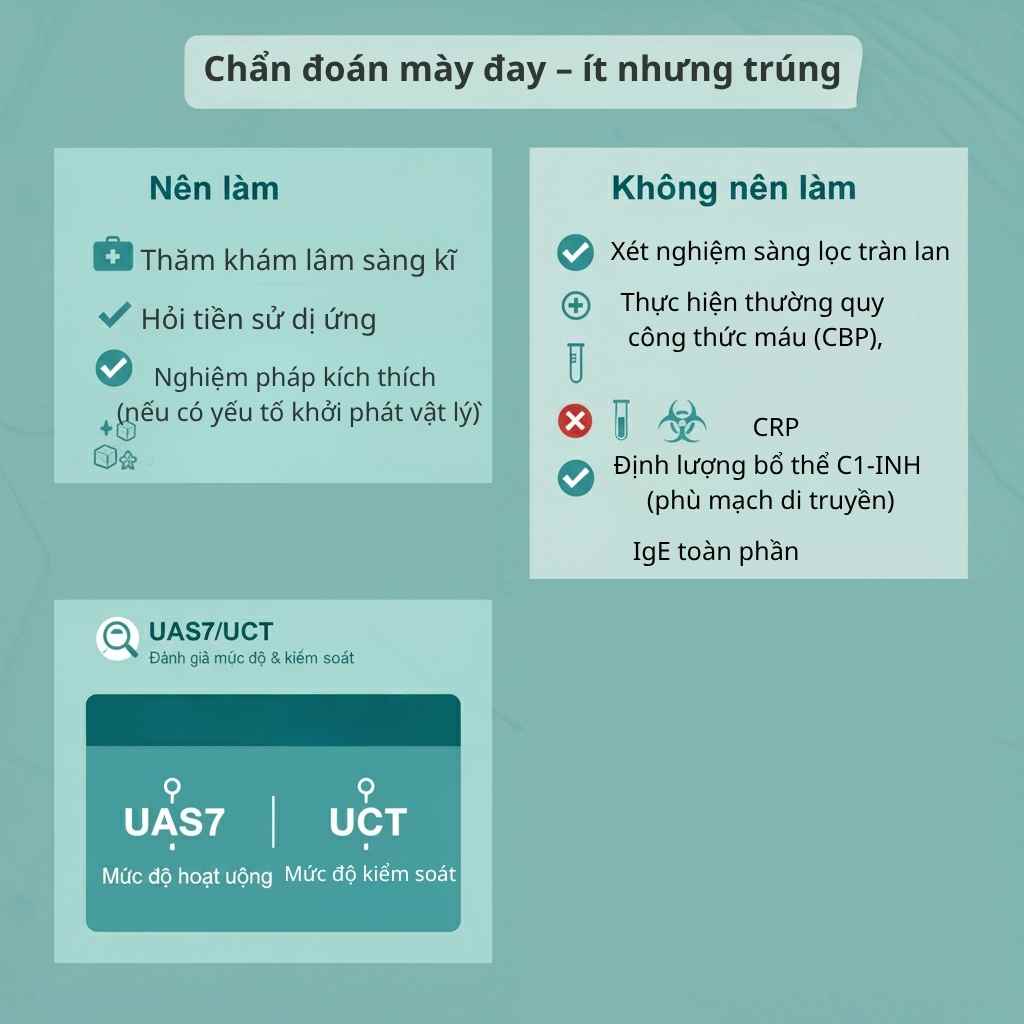 Infographic chẩn đoán mày đay: ưu tiên lâm sàng, CBC/CRP tối thiểu; C4/C1-INH khi nghi phù mạch bradykinin; UAS7 và UCT để theo dõi.