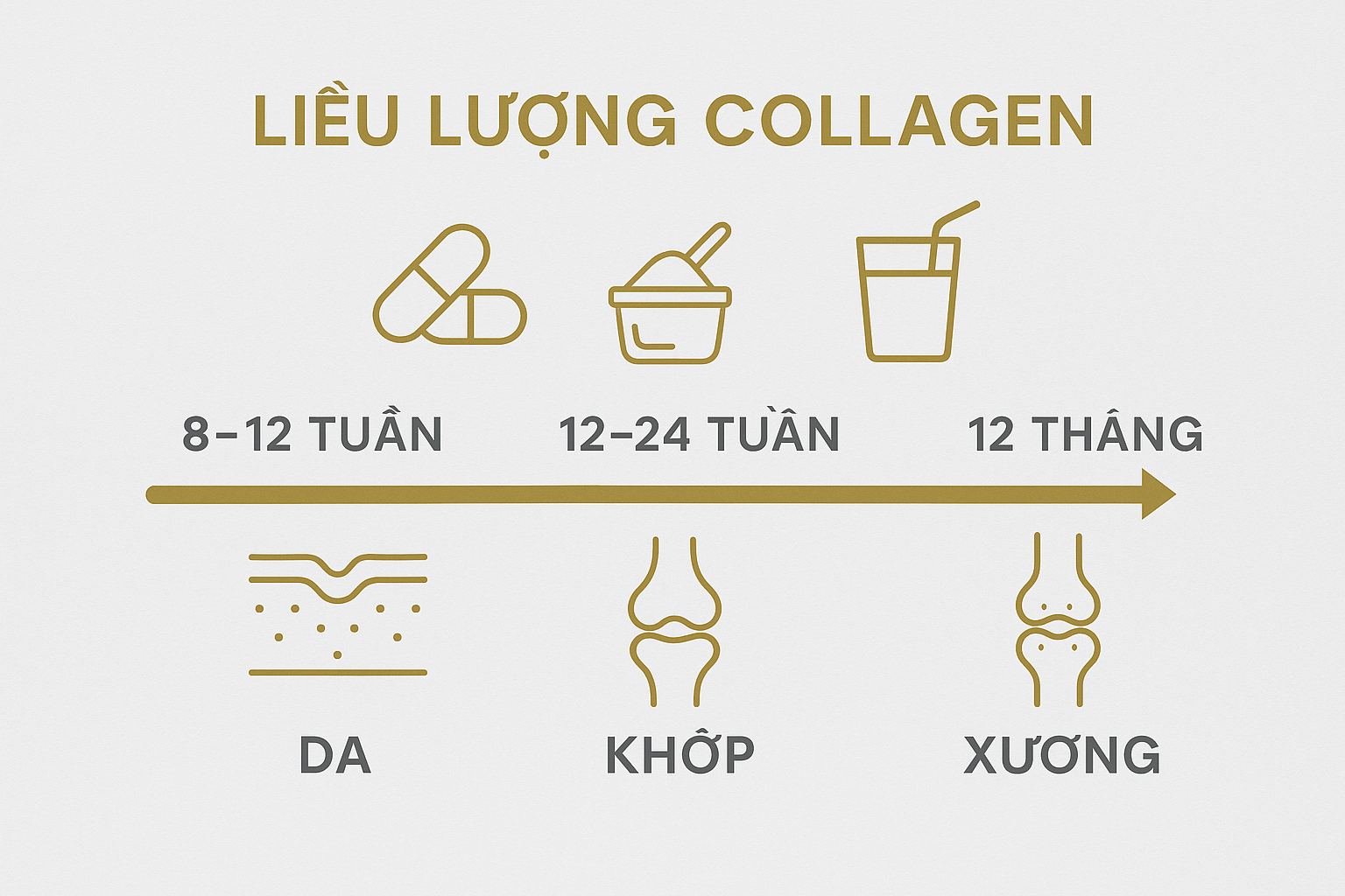 nfographic biểu đồ liều lượng collagen (2.5–15 g/ngày) theo mục tiêu da – khớp – xương và hướng dẫn chọn sản phẩm đạt chuẩn kiểm nghiệm.