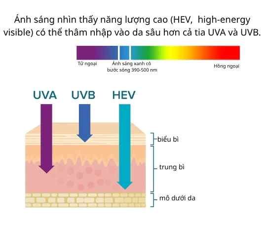 ba-tang-bao-ve-da-uva-uvb-anh-sang-kha-kien_vjqmvg.jpg sơ đồ phổ bảo vệ kem chống nắng gồm UVA, UVB và ánh sáng khả kiến
