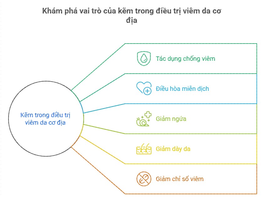Hình ảnh mô tả các lợi ích của kẽm trong điều trị viêm da cơ địa, bao gồm tác dụng chống viêm, điều hòa miễn dịch, giảm ngứa, giảm dày da và giảm chỉ số viêm.