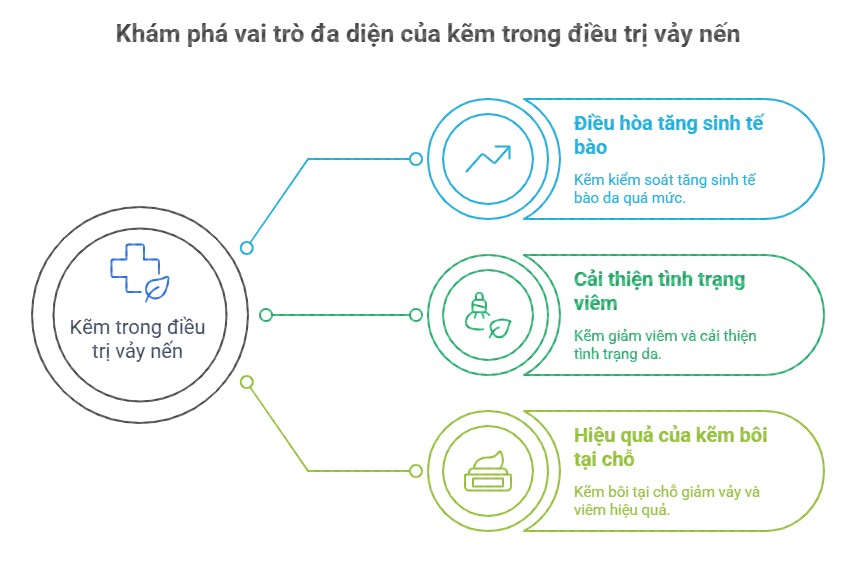 Hình ảnh mô tả vai trò của kẽm trong điều trị vảy nến, bao gồm việc điều hòa tăng sinh tế bào, cải thiện tình trạng viêm và hiệu quả khi sử dụng kẽm bôi tại chỗ.