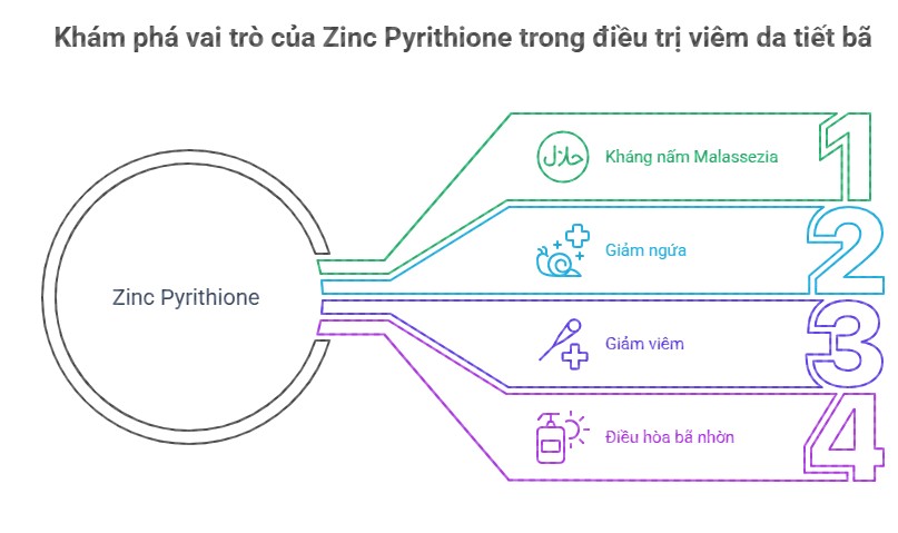 Hình ảnh mô tả các tác dụng của Zinc Pyrithione trong điều trị viêm da tiết bã, bao gồm khả năng kháng nấm Malassezia, giảm ngứa, giảm viêm và điều hòa bã nhờn.