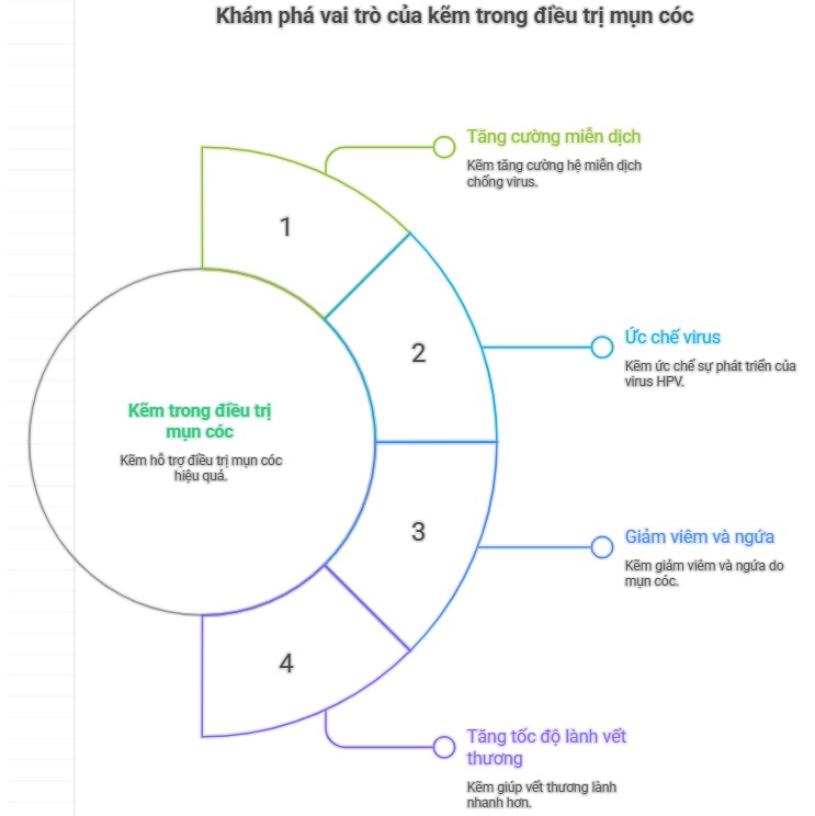 Hình ảnh mô tả vai trò của Kẽm trong điều trị mụn cóc, bao gồm việc tăng cường miễn dịch, ức chế virus HPV, giảm viêm và ngứa, và tăng tốc độ lành vết thương.