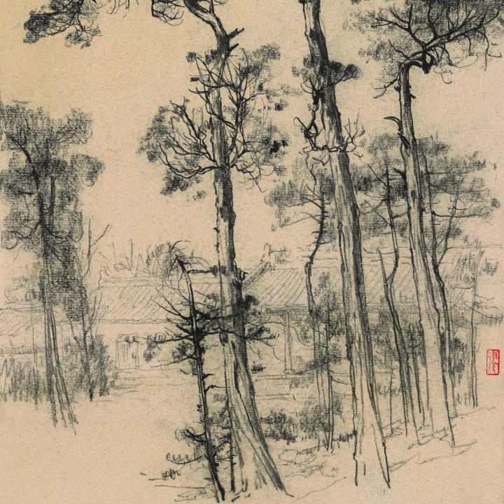 Ancient Cypress at the Confucian Temple
