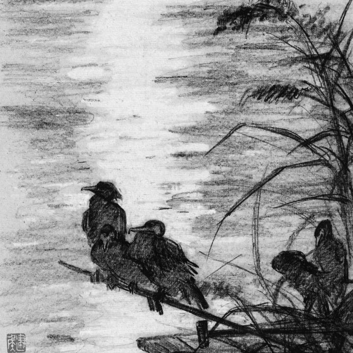 Cormorants Roosting at Night