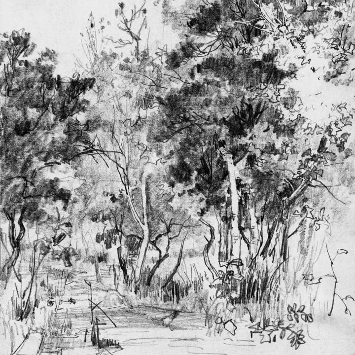 Jungle