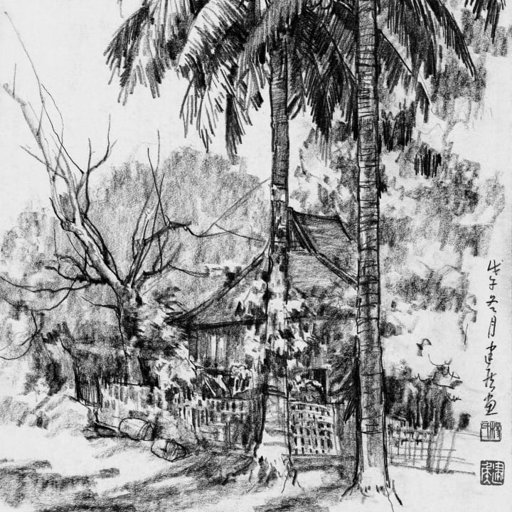 Menglun Vista