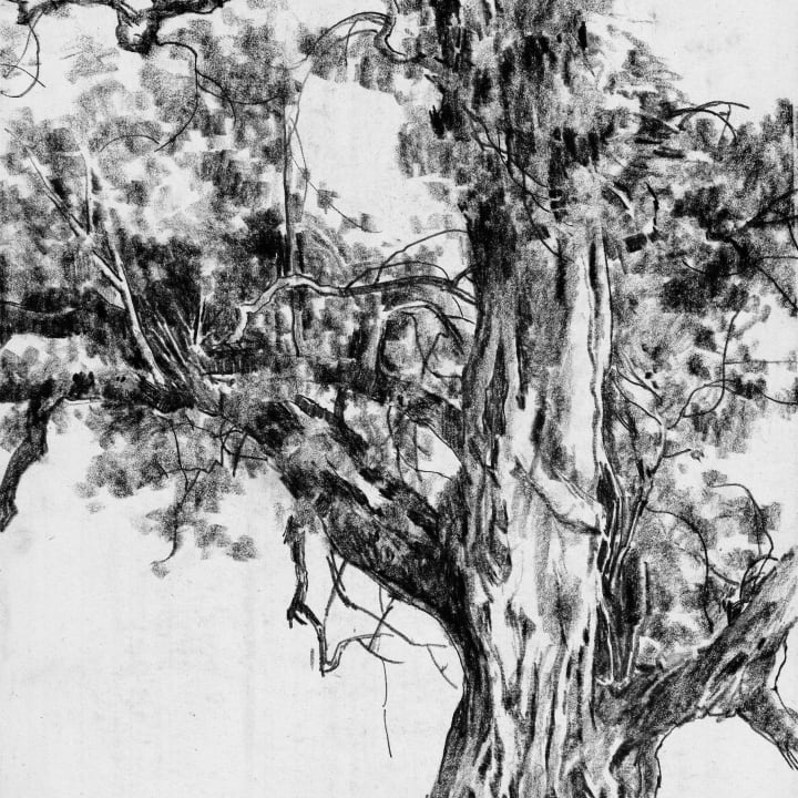 Banyan
