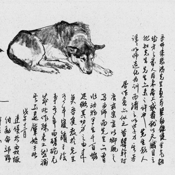 Sleeping Dog