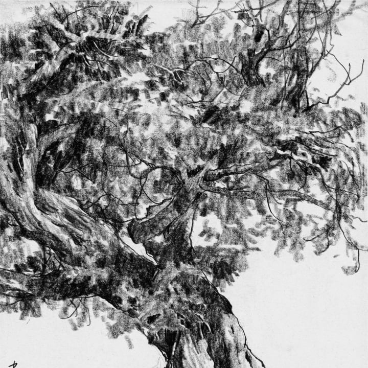Old Tree