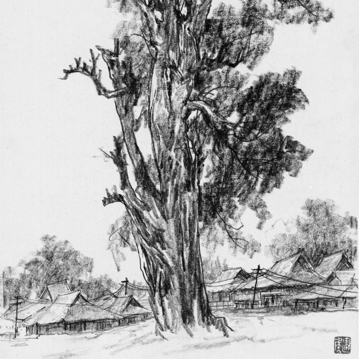 Ancient Trees in a Miao Village