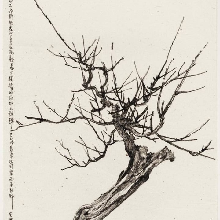 Tree Stump