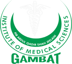 IMS Gambat