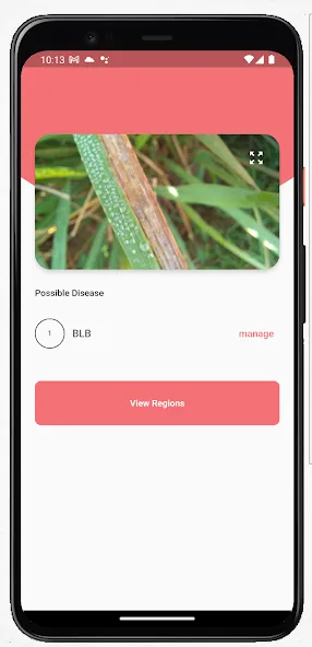 Rice Disease Detect screenshot 3