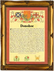 Donohoe Name Meaning, Family History, Family Crest & Coats of Arms