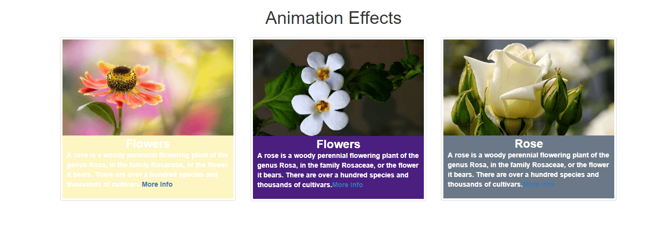 Bootstrap Background Animation Effect