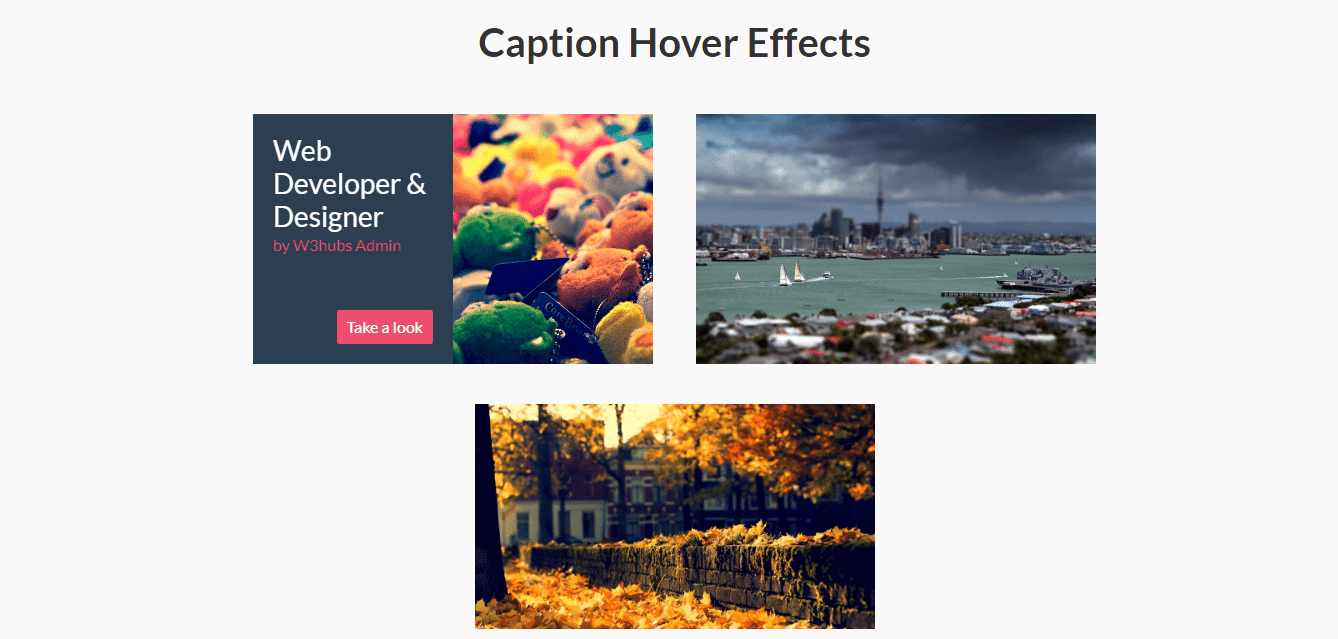 Image Hover Effects In Bootstrap 4