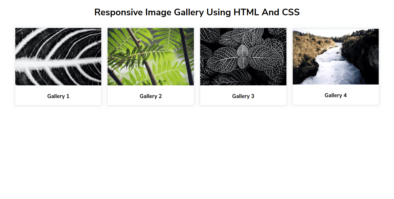 Responsive Image Gallery Using HTML And CSS