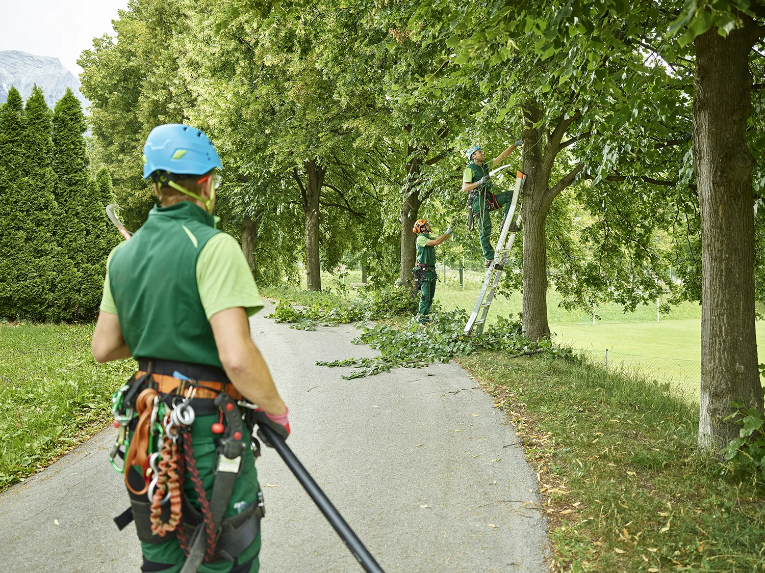 Kansas City Tree Services team at work