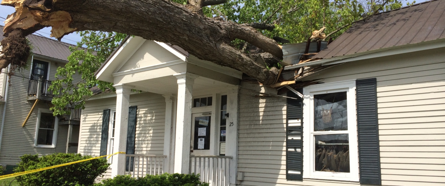 Storm Damage: Emergency Tree Care Guide