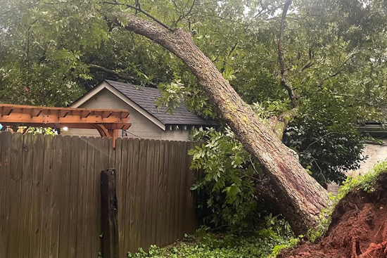 Emergency tree service response