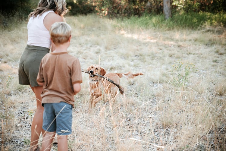 Boise foothills family session - Snapshots by Jolene