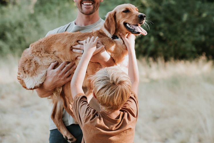 Boise foothills family session - Snapshots by Jolene