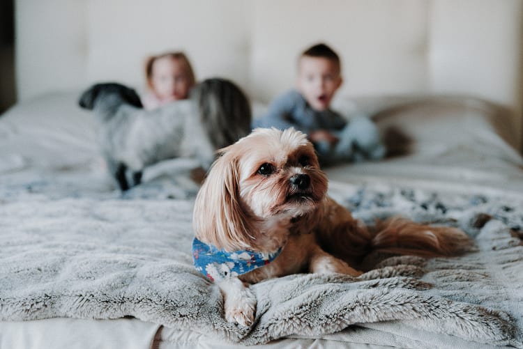 Lifestyle newborn photos at home - Snapshots by Jolene